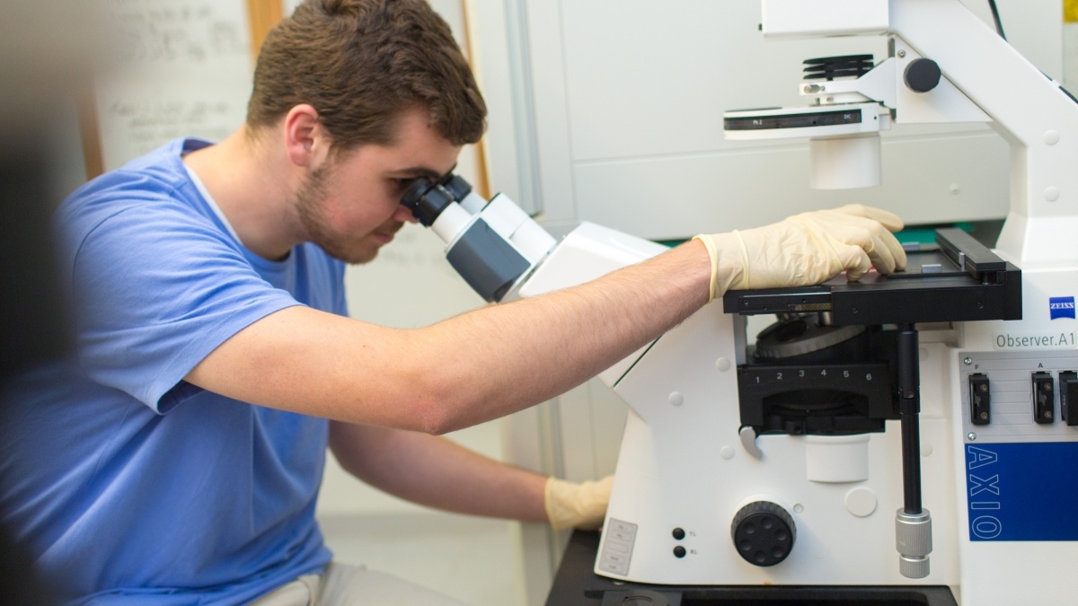 A student looks into a microscope