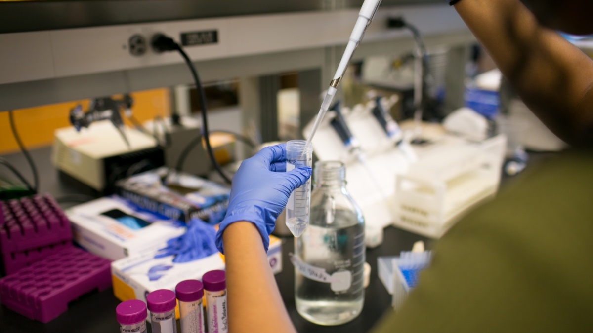 Person using a pipette to transfer liquids from one vial to another vial